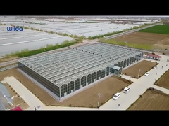 Serre chaude en verre