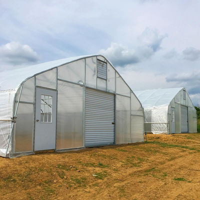 Film Plastic Glass Single Span Greenhouse High Tunnel Gray Steel