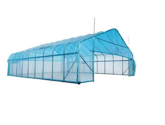 Customizable Tunnels Greenhouse Agricultural Greenhouses and Farm Greenhouse Nursery Green House China Factory Export Poly Tunnel Greenhouse